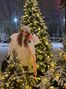 _Barbie girl_, Москва, Россия, хочу любви фото 1696587
